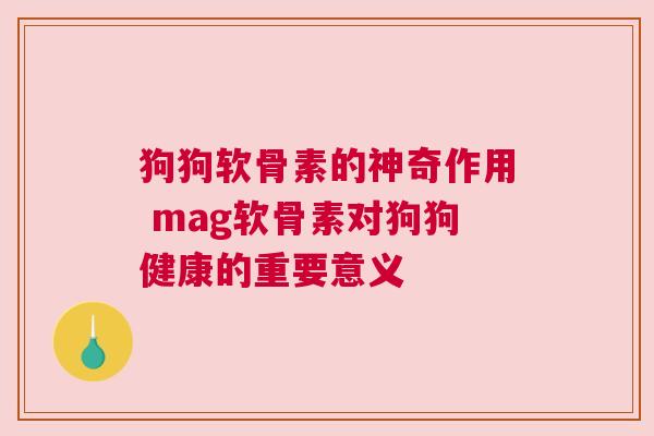 狗狗软骨素的神奇作用 mag软骨素对狗狗健康的重要意义